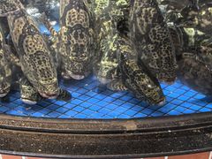 -后田海鲜餐厅(南澳香湖湾店)