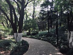 -瀛洲公园