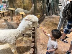 -宝燕乐园(闵行旗舰店)