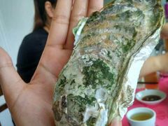 -邹记·美食(斗门店)