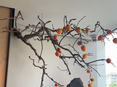 -杏花堂晋商私房菜(华熙五棵松店)