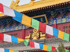 -西安市广仁寺