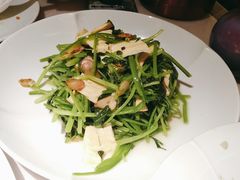 红根菠菜炒鲜腐竹-船歌·鱼水饺青岛菜(闽江二路店)