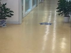 -宁波口腔医院(鄞州分院)