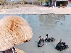 -琅岐红光湖公园