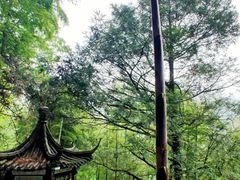 -藏龙百瀑风景区