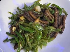 -新白鹿餐厅(百联中环店)