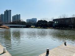 -九里河湿地公园