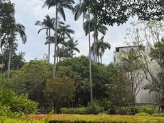 -厦门大学(思明校区)