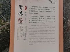 -北京鹫峰国家森林公园