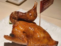 -侨美食家·粤菜(体育西路店)