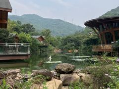 -杭州开元森泊度假乐园