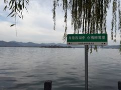 -杭州西湖柳莺里酒店