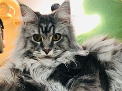 -猫和宫(六道口店)