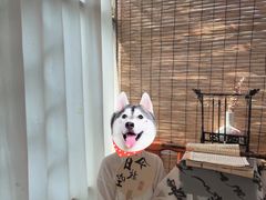 -秘密花园·换装下午茶·团建·沙龙·主题布置