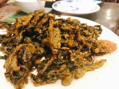 -姥家大锅台水库渔家
