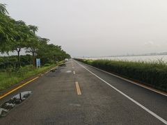 -海鸥岛