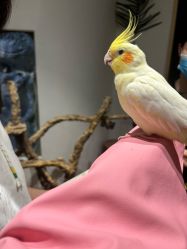 -Zoolung Zoolung动物主题公园(海信广场店)