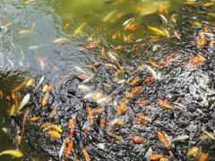 -珠海圆明新园
