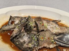 -龙宴海鲜城(经中路店)