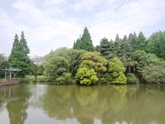 -上海滨江森林公园
