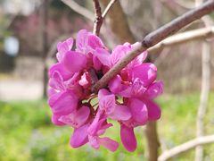 -高老庄新家宴(北斗星广场店)