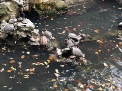 -普陀山风景名胜区-法雨禅寺