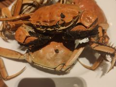 螃蟹-万达文华酒店·美食汇自助餐厅