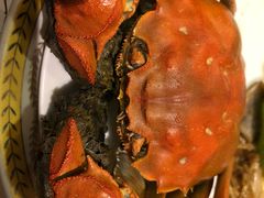 清蒸大闸蟹-王宝和酒家(黄浦店)