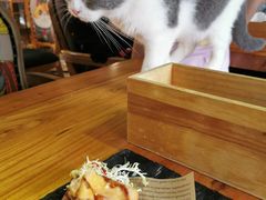 -more than meow吴止猫主题餐厅(承德 中船汇店)