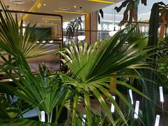 -润园四季椰子鸡火锅(南山海岸城店)