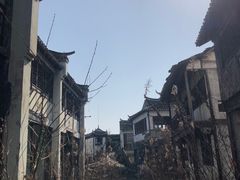 -上海鲜花港