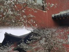 -广富林郊野公园