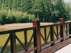 -黄海国家森林公园