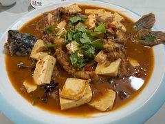 -煲来饱去冷水鱼