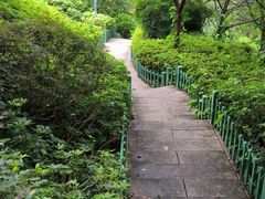 -乌山风景区