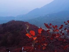 -水峪民俗村