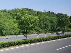 -巢湖姥山岛