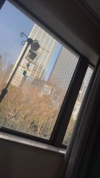 -上海首尔丽格医疗美容医院