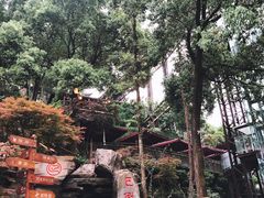 -枇杷园食为鲜火锅(南山店)
