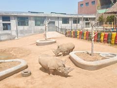 -西霞口神雕山野生动物世界