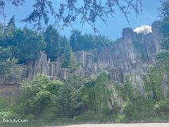 -长虫山生态公园风景林
