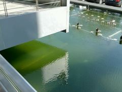 -深圳特区报业大厦