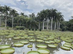 -中国科学院西双版纳热带植物园