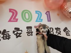 -娜娜的大房子