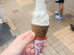 -富豪雪糕车流动点(尖沙咀店)