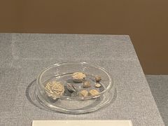 -浙江省博物馆(孤山馆区)