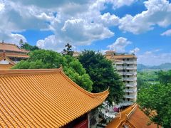 -深圳仙湖植物园