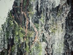 -黑龙潭风景区