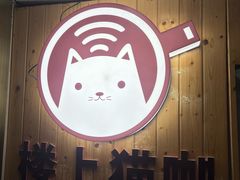 -楼上猫咖(罗湖店)
